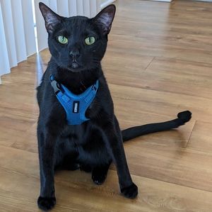 Meet your Posher, Marie